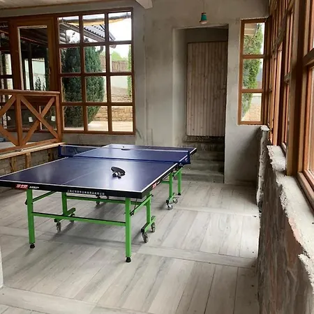 Bella Vlasic Villa *